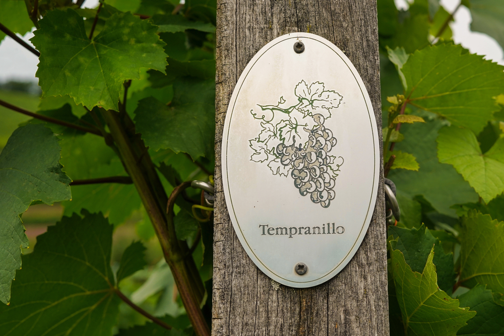 Tempranillo Schild
