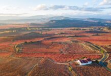 Rioja Alta, Rioja Alavesa und Rioja Baja: Die Diversität der Rioja-Region Luftaufnahme von Weinbergen in Rioja Spanien