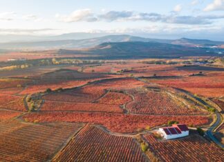 Rioja Alta, Rioja Alavesa und Rioja Baja: Die Diversität der Rioja-Region Luftaufnahme von Weinbergen in Rioja Spanien