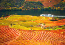 Portwein: Das Terroir und seine Einfluss Fluss und Weinberge Douro Portwein Terroir
