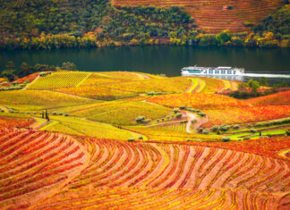 Portwein: Das Terroir und seine Einfluss Fluss und Weinberge Douro Portwein Terroir