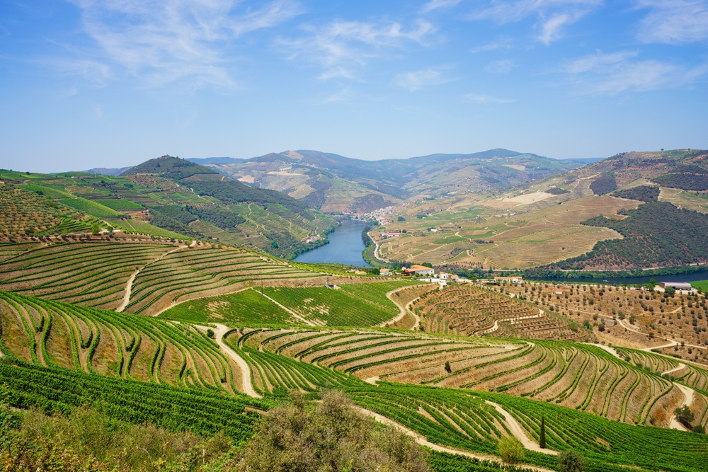 Terroir Douro Valley für Portwein