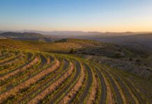 Priorat Priorat Terroir
