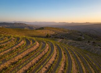 Priorat Priorat Terroir