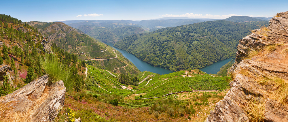 Panoramasicht auf die Weinberge an der Ribeira Sacra in Galicien, Spanien